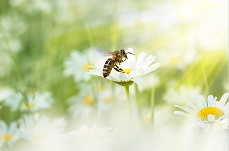 The Sustainable Supply Chain: 5 Concrete Benefits
